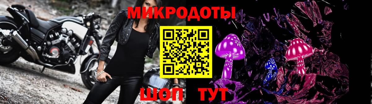Псилоцибиновые грибы прущие грибы Междуреченск