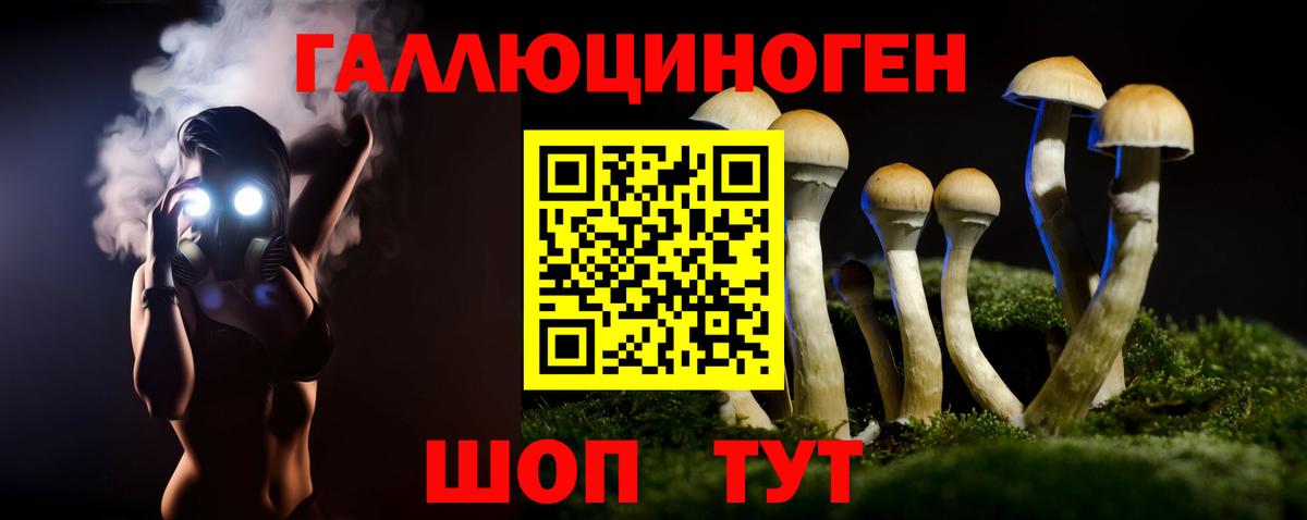 Псилоцибиновые грибы прущие грибы  Галлюциногенные грибы Psilocybine cubensis  Междуреченск  Вход с VPN 